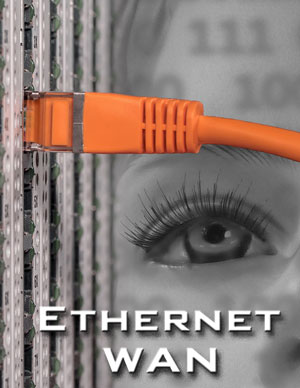 Find Ehternet WAN services now.